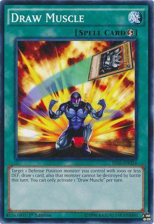Draw Muscle YS16-EN024