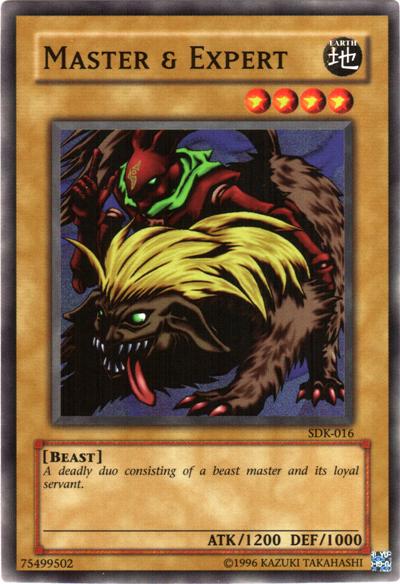 Master & Expert SDK-016