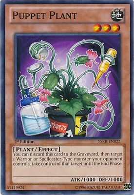 Puppet Plant [1st Edition] YSKR-EN022