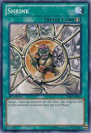 Shrink [1st Edition] YSKR-EN037