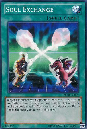 Soul Exchange YSKR-EN029