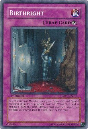 Birthright [1st Edition] 5DS1-EN040
