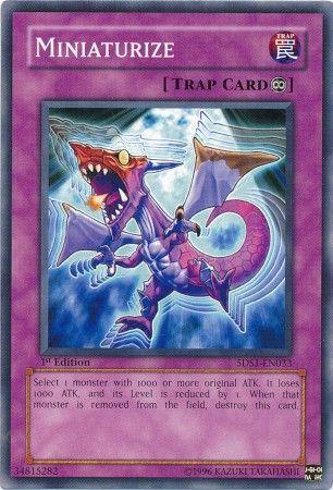 Miniaturize [1st Edition] 5DS1-EN033
