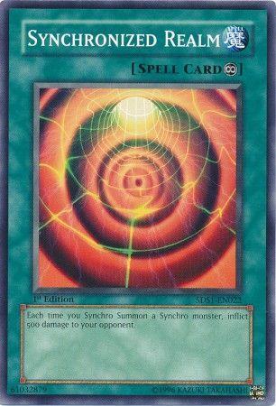 Synchronized Realm [1st Edition] 5DS1-EN022