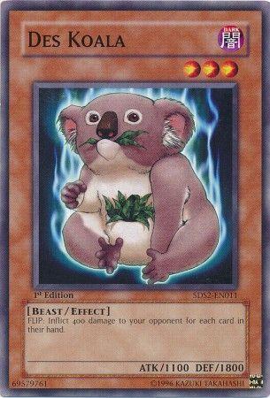 Des Koala [1st Edition] 5DS2-EN011
