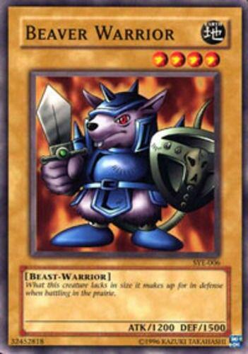 Beaver Warrior SYE-006