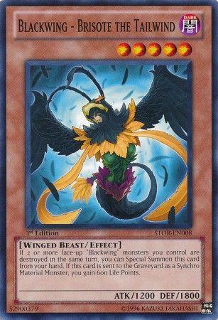 Blackwing - Brisote the Tailwind [1st Edition] STOR-EN008