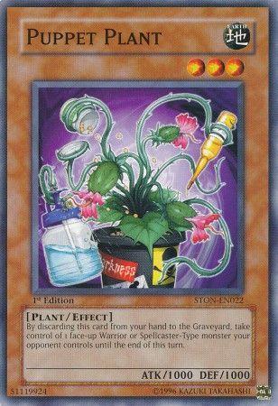 Puppet Plant [1st Edition] STON-EN022