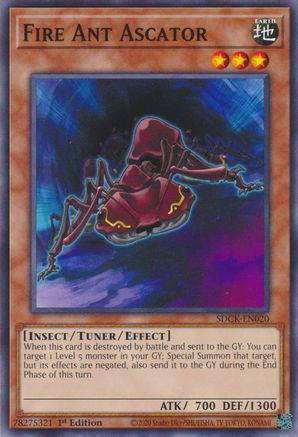 Fire Ant Ascator SDCK-EN020