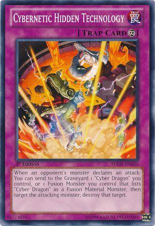 Cybernetic Hidden Technology [1st Edition] SDCR-EN030