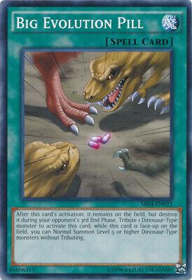 Big Evolution Pill SR04-EN023