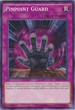 Pinpoint Guard SR01-EN040
