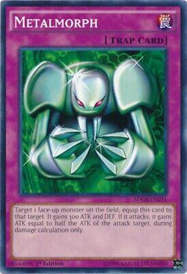 Metalmorph SDGR-EN031