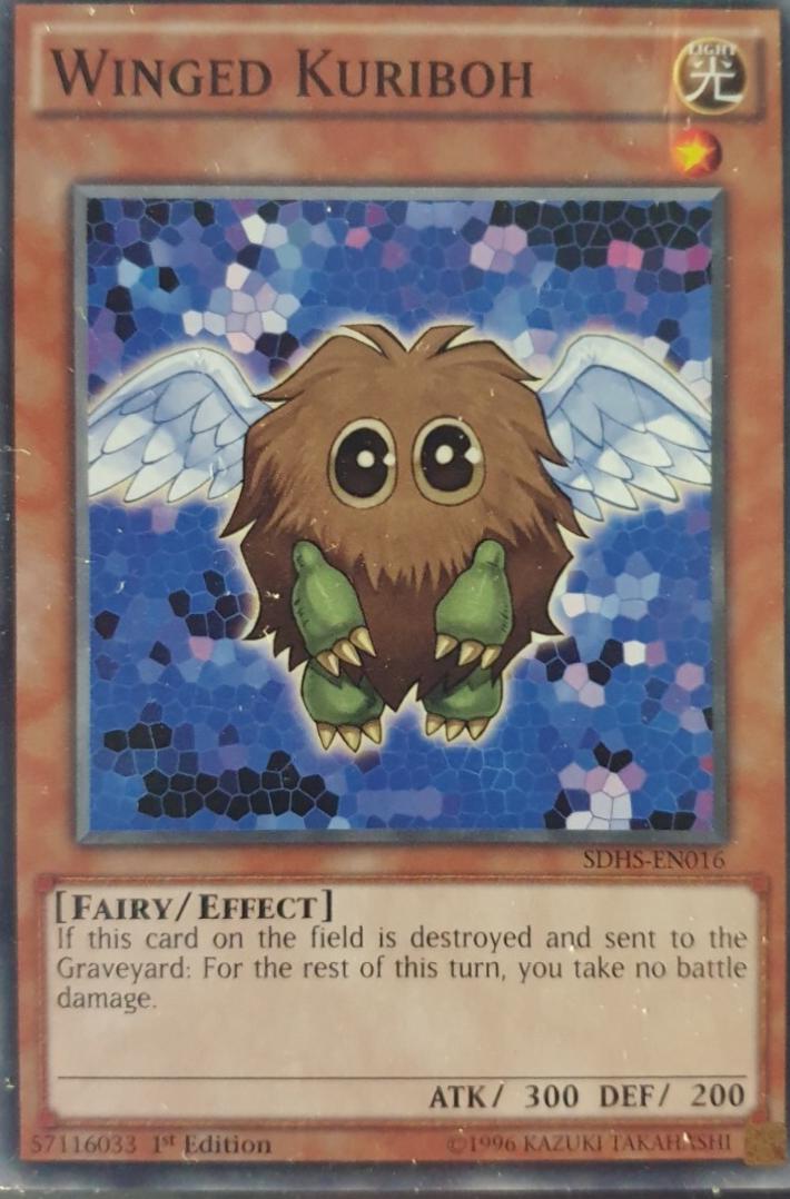 Winged Kuriboh [1st Edition] SDHS-EN016