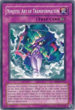 Ninjitsu Art of Transformation SD8-EN035
