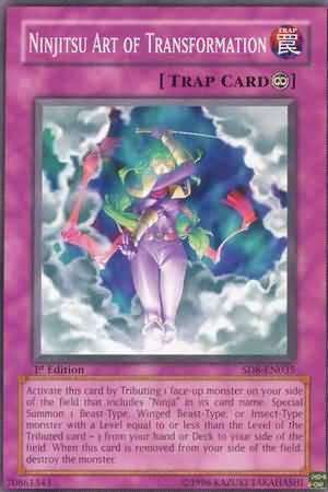 Ninjitsu Art of Transformation [1st Edition] SD8-EN035