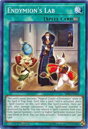Endymion's Lab SR08-EN023