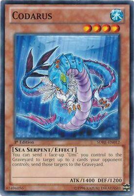 Codarus SDRE-EN012