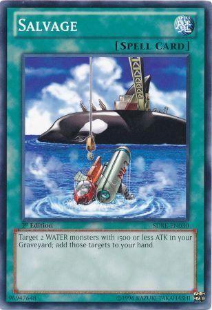 Salvage SDRE-EN030