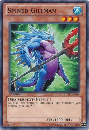Spined Gillman SDRE-EN009