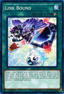 Link Bound SDSB-EN030