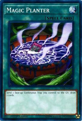 Magic Planter SDSB-EN031