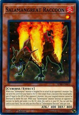 Salamangreat Raccoon SDSB-EN001