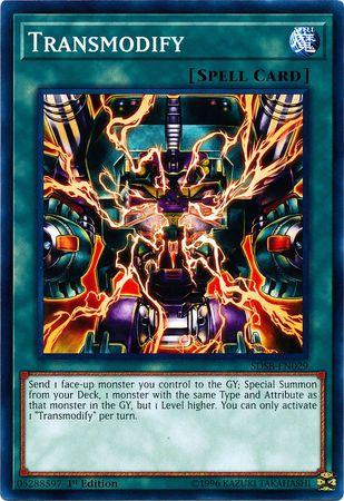 Transmodify SDSB-EN029