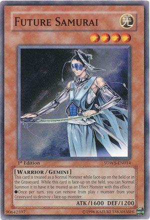 Future Samurai SDWS-EN014