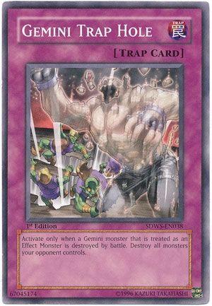 Gemini Trap Hole SDWS-EN038