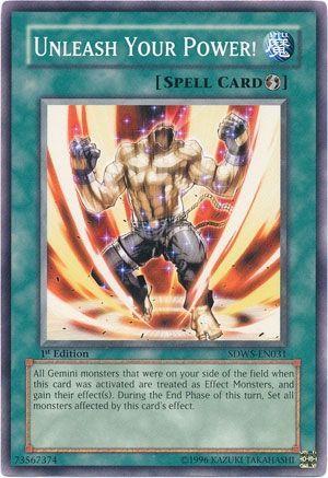 Unleash Your Power! SDWS-EN031