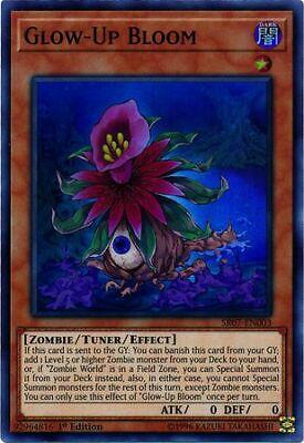 Glow-Up Bloom SR07-EN003