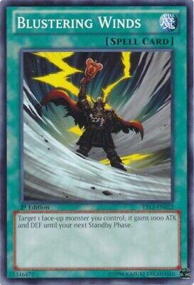 Blustering Winds YS13-EN022