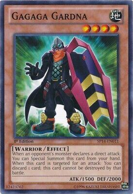 Gagaga Gardna YS13-EN011