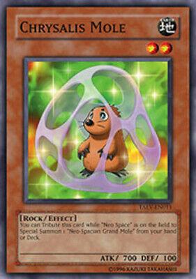 Chrysalis Mole TAEV-EN011