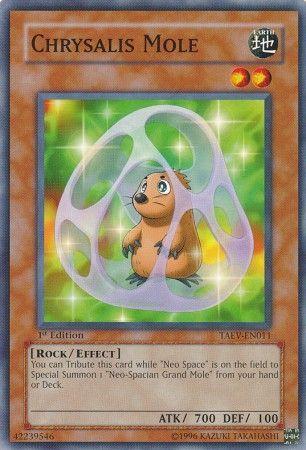 Chrysalis Mole [1st Edition] TAEV-EN011