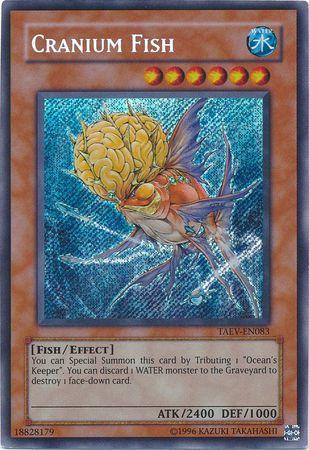 Cranium Fish TAEV-EN083