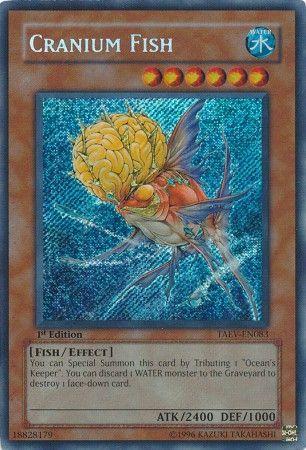 Cranium Fish [1st Edition] TAEV-EN083