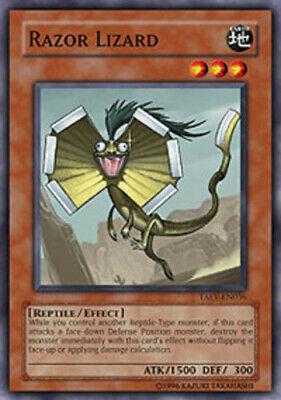 Razor Lizard TAEV-EN036