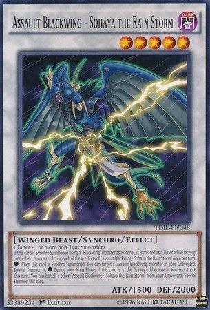 Assault Blackwing - Sohaya the Rain Storm [1st Edition] TDIL-EN048