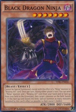 Black Dragon Ninja [1st Edition] TDIL-EN036