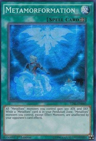 Metamorformation [1st Edition] TDIL-EN060