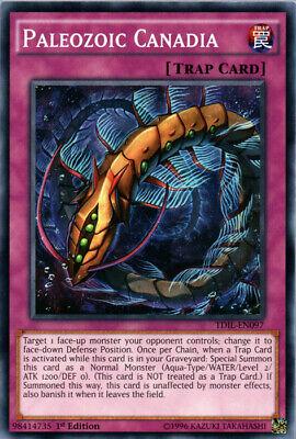 Paleozoic Canadia [1st Edition] TDIL-EN097