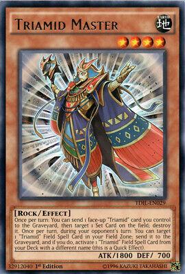 Triamid Master [1st Edition] TDIL-EN029