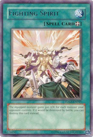 Fighting Spirit TDGS-EN045