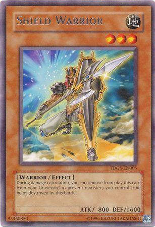 Shield Warrior TDGS-EN005