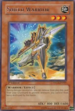 Shield Warrior [1st Edition] TDGS-EN005