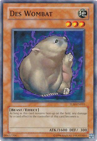 Des Wombat TLM-EN031