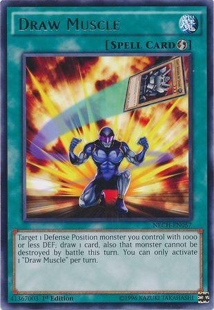 Draw Muscle [1st Edition] NECH-EN057