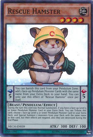 Rescue Hamster NECH-EN039